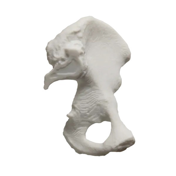 Form 4 White Resin V5 5L